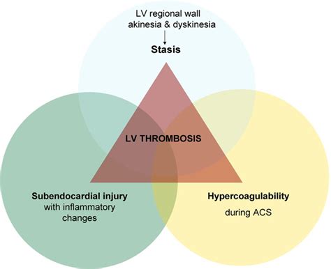 Lv thrombus topics